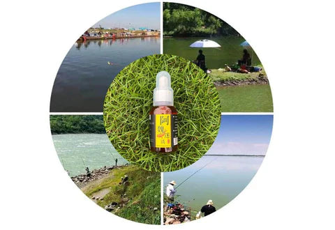 Air freshener to attract fish