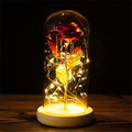Eternal Pink Glass Dome Lamp - BloomLight