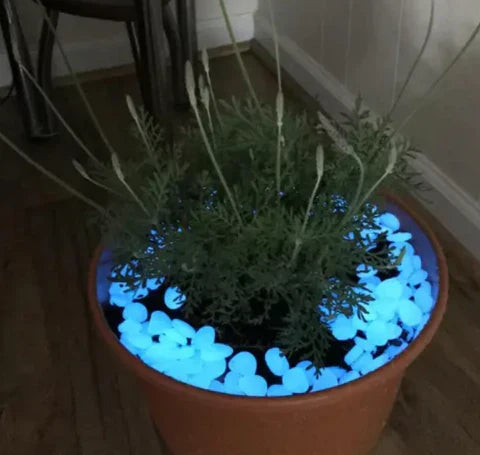Magic Stones for Garden - Magic Stone