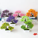 BONSAI DECORAÇÃO NATUREZA JAPONESA