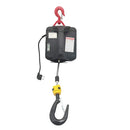 Guindaste portátil elétrico capacidade 500kg -Acionamento por Controle Remoto