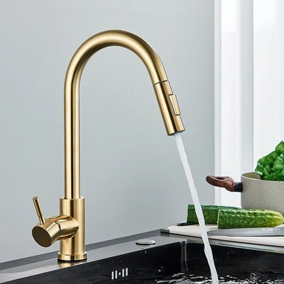 Gourmet Pull-Out Kitchen Sink Tap - EasySpray 