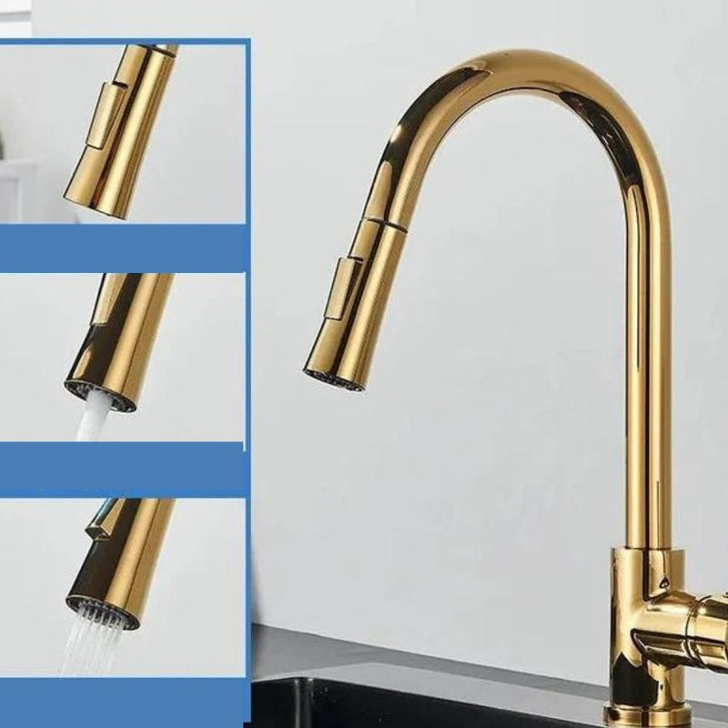 Gourmet Pull-Out Kitchen Sink Tap - EasySpray 
