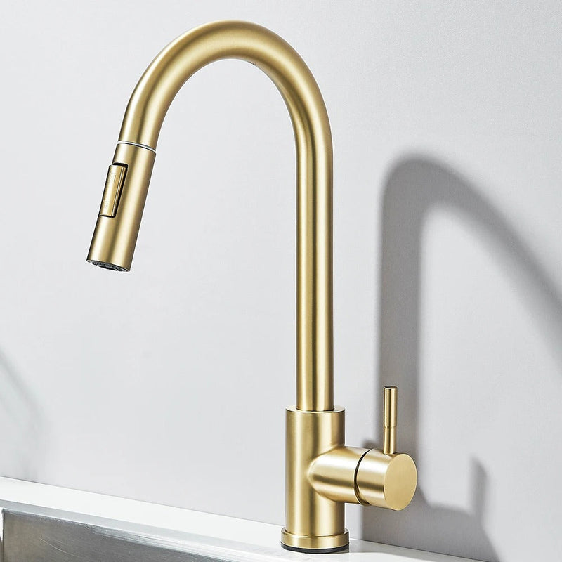 Gourmet Pull-Out Kitchen Sink Tap - EasySpray 