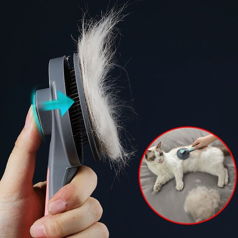 Pet Hair Removal Brush